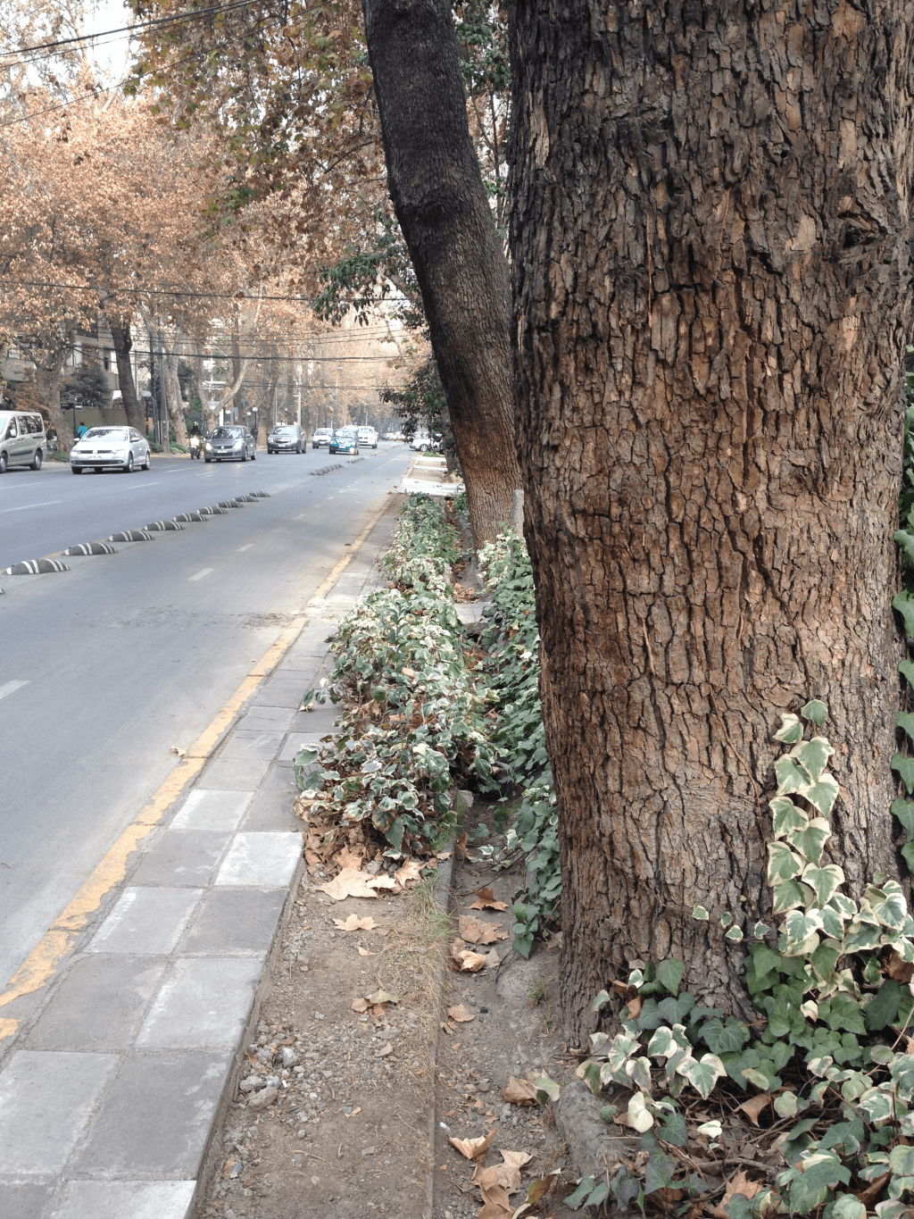 Ciclovía Ricado Lyon · Indicios del Origen de un Pasado&nbsp;Productivo